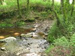 IMG_0017.JPG