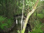 IMG_0029.JPG