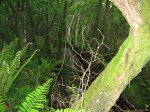 IMG_0030.JPG
