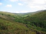 IMG_0027.JPG