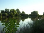 Guadiana-Calla2.jpg
