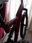 DSC05915.JPG