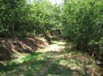 Ruta07 011.jpg