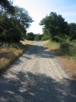 La Ruta.jpg