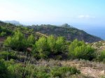 DSCN1632.JPG