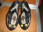 DSC05619.JPG