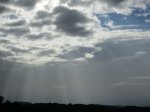 IMG_1445.JPG