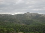IMG_1446.JPG