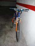 DSC05970.jpg