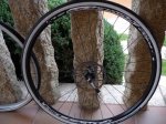 hardrock 005.JPG
