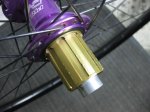 evo 004r.jpg