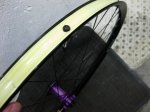 evo 010r.jpg