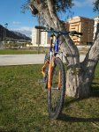 DSC05983.jpg