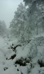 IMG-20151124-WA0004.jpg