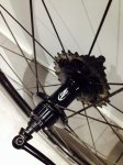 Zipp 3.jpg