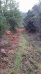20151120_101304.jpg