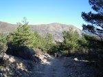 DSCN3701.JPG