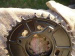 rotor 005.JPG