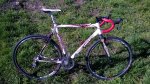 WP_20151130_003.jpg