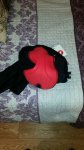 20151202_223650_resized.jpg
