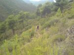 DSC00237.JPG