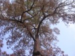 DSCN9793.jpg