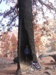 DSCN9796.jpg