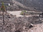 DSCN9801.jpg