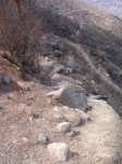 DSCN9806.jpg