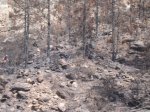 DSCN9808.jpg