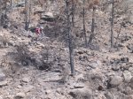 DSCN9809.jpg