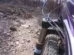 DSCN9813.jpg