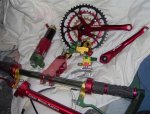 rasta1_212 (Medium).jpg