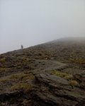 DSC00784.JPG