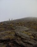 DSC00785.JPG