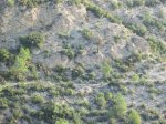 IMG_1569.JPG