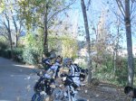 IMG_1586.JPG