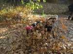 IMG_1591.JPG
