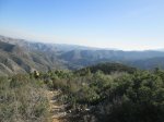 IMG_1593.JPG
