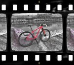IMG00083_phixr (2)_phixr.jpg
