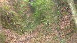 CORRIOLES Y TRIALERAS -SOL I VENT 015.JPG