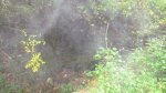 CORRIOLES Y TRIALERAS -SOL I VENT 025.JPG