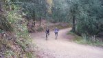 CORRIOLES Y TRIALERAS -SOL I VENT 029.JPG