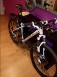 20151029_072702.jpg