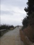 DSC02396.JPG