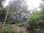 DSC02426.JPG