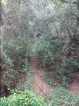 DSC02430.JPG