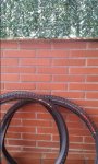 20151214_095450.jpg