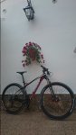 20140719_211310_Android.JPG