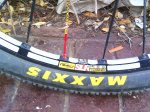 IMG_20151216_090741.jpg